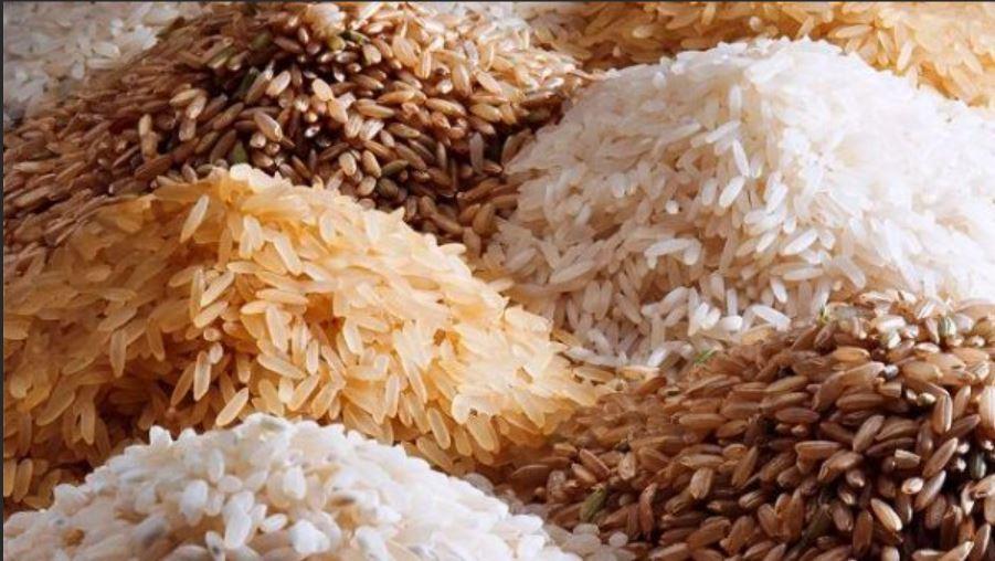 Rice and Grain Products